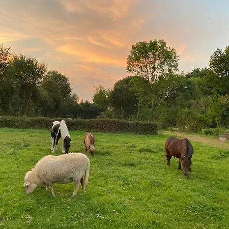 Au Vieux Moulin 3*